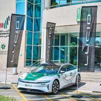 Dubai Delights: Uncovering the Emirates' Gems