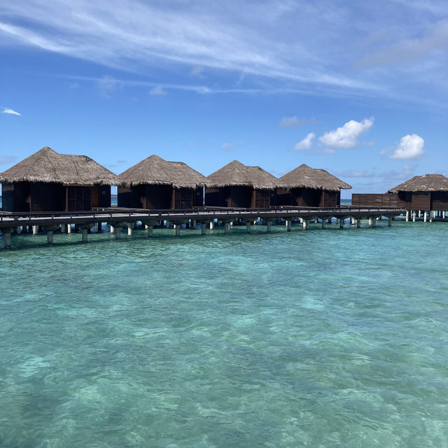 Island paradise 🌅 บริการสุดประทับใจ