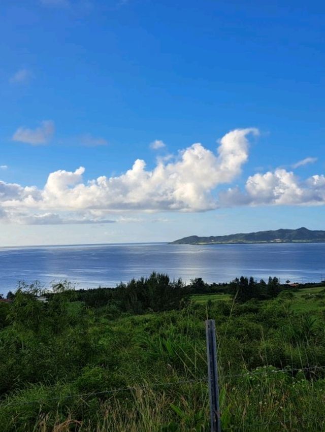 【ミルミル本舗 本店:石垣島】石垣島で人気のジェラート屋さん🍨