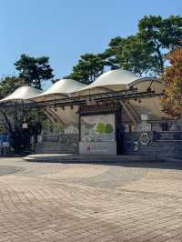 공주가면 꼭 가야할 ‘공주산성시장’