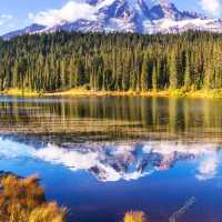 "Global Odyssey: Unforgettable Journeys with Travel Dudes"
