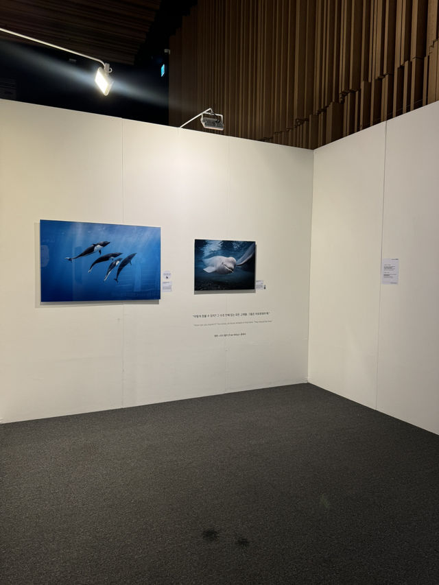 아이들과 함께 즐기기 좋은 체험형 전시 🐋
