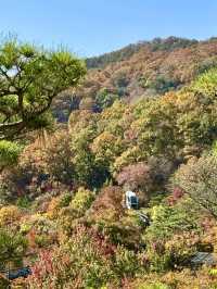 🍁고즈넉한 오솔길을 따라 단풍의 향연을 감상할 수 있는 ✨가을 여행지 추천 🍁