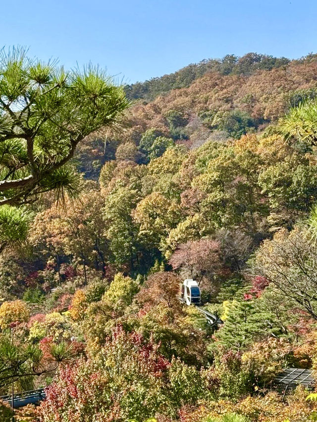 🍁고즈넉한 오솔길을 따라 단풍의 향연을 감상할 수 있는 ✨가을 여행지 추천 🍁