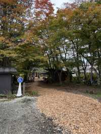 【軽井沢】軽井沢に新しく出来た複合施設🏠