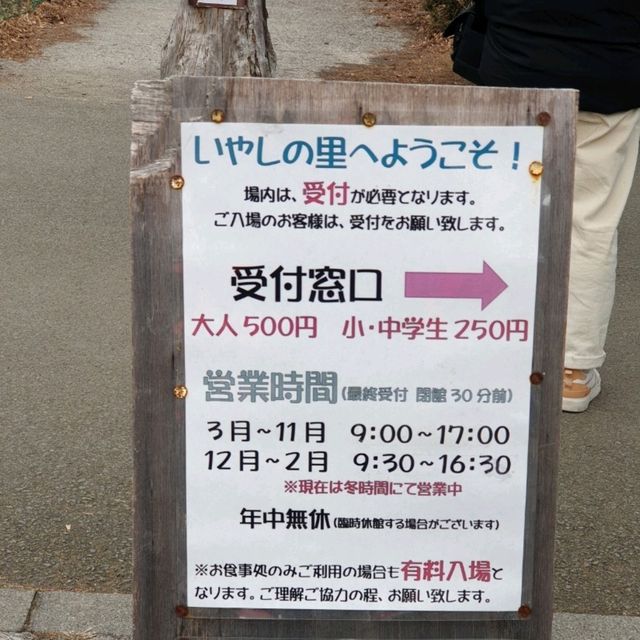 富士山與合掌村的完美組合〔西湖療癒之里根場〕