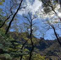 화창한 가을날의 제주도🏞️ 가족들이랑 한라산부터 월정리 해수욕장까지💕