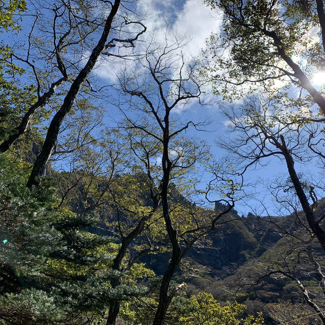 화창한 가을날의 제주도🏞️ 가족들이랑 한라산부터 월정리 해수욕장까지💕