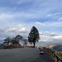 《熊本Day3》高千穗峽的夢幻旅程與在地居酒屋的餘韻