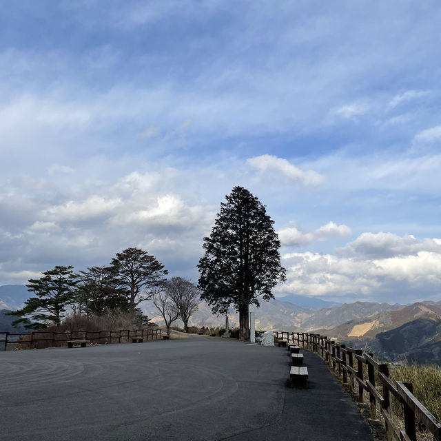 《熊本Day3》高千穗峽的夢幻旅程與在地居酒屋的餘韻