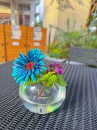 【千葉】植物好きは絶対に行ってほしい!!オシャかわショップ