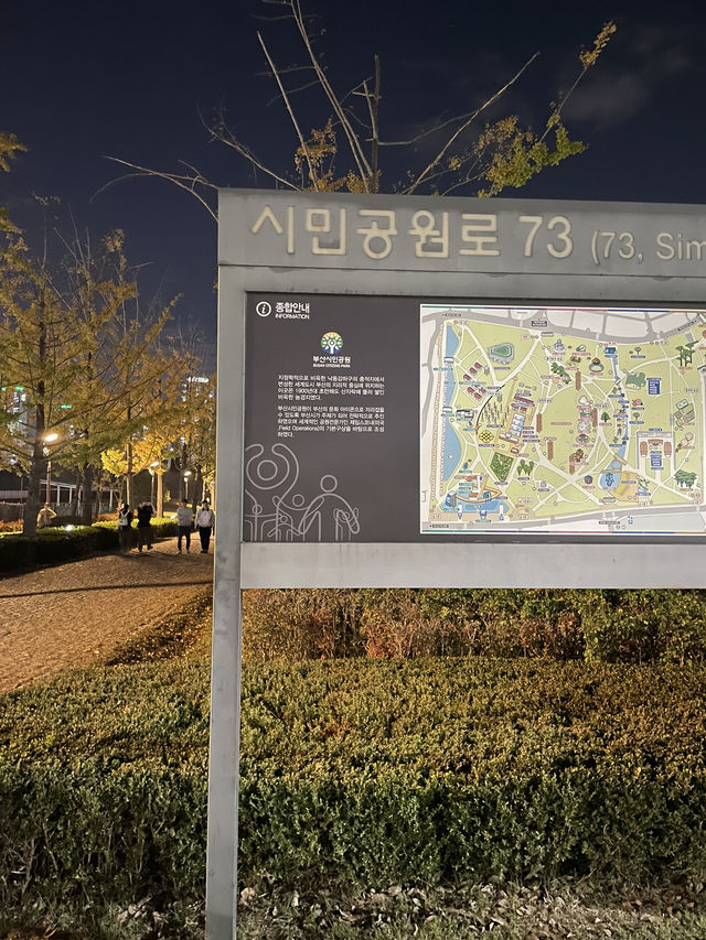 부산의 센트럴 파크 부산시민공원🌿🌳🍂🍁단풍구경하기 좋아요! 