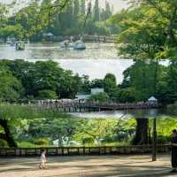 景點推薦：井之頭恩賜公園，自然與藝術的完美結合