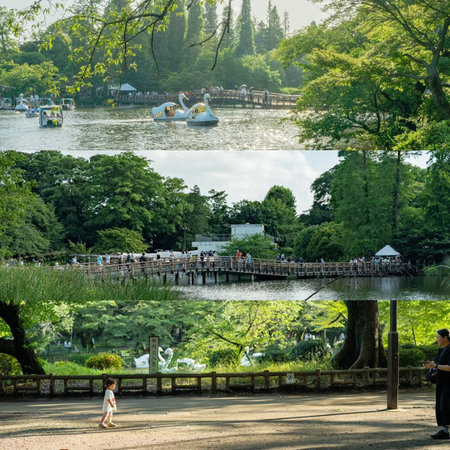 景點推薦：井之頭恩賜公園，自然與藝術的完美結合