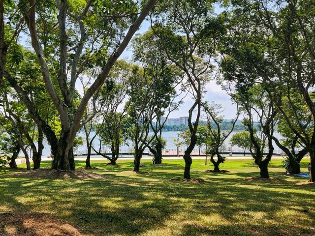 Take A Break At Bedok Reservoir Park