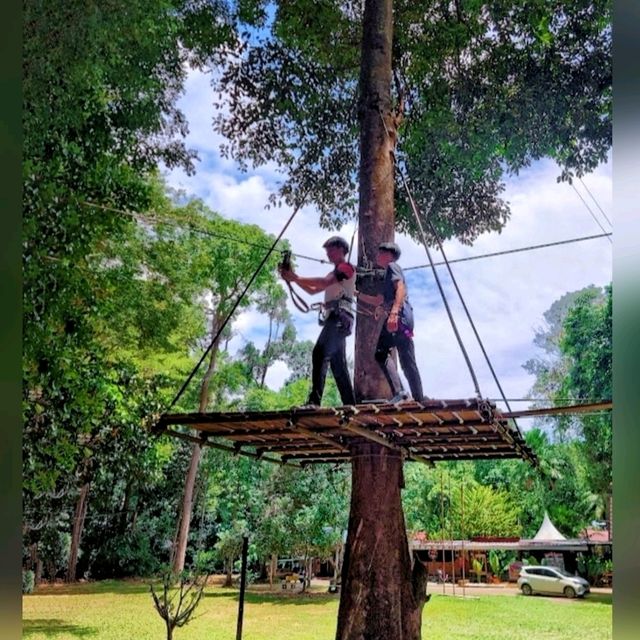 An adventurous & funfull day @ SKYTREX Adventure Melaka! 🌿🐒🍃🦋🌳