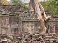 Ancient city of Angkor