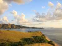 Komodo island - actual home of dragons 