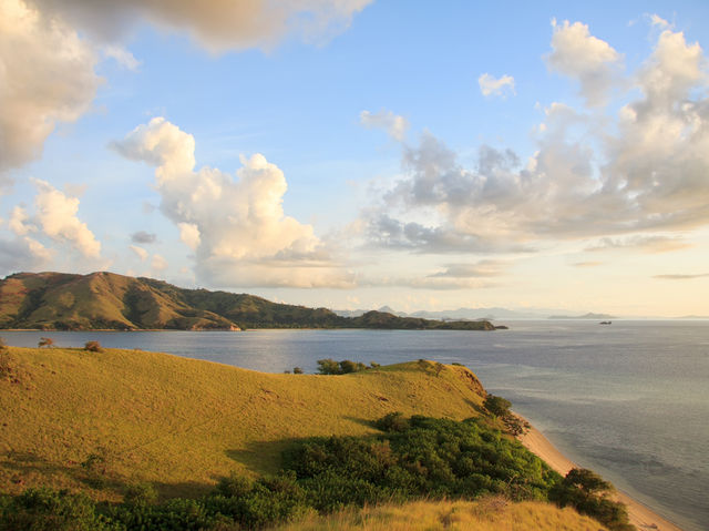 Komodo island - actual home of dragons 