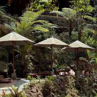 A Hidden Gem in Bali: Nukad Tampaksiring