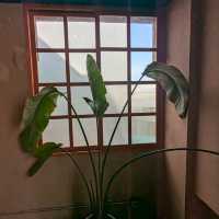 台南小巷弄-日式老宅的侘寂風咖啡：Present Coffee 