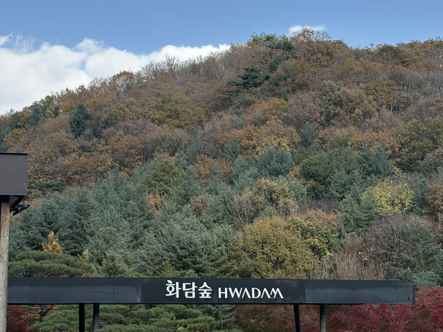형형색색의 한국의 가을로 오세요 🍂
