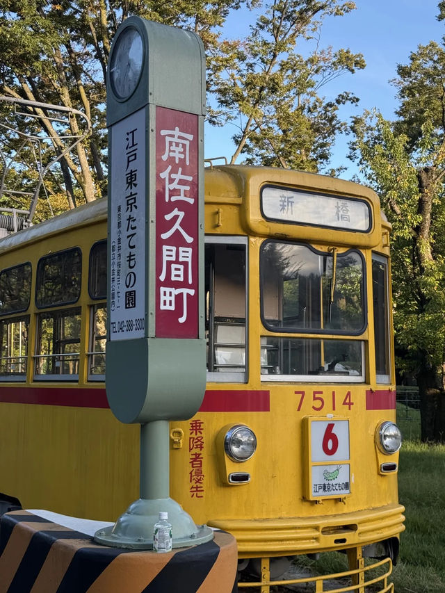 景點推薦：江戶東京建築園——穿越時光的建築博物館
