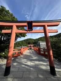滿寺達摩來大阪必去 入寺必取免費紀念品！
