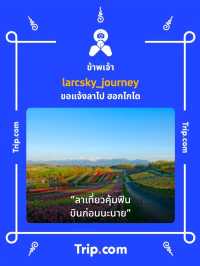 dash.space - Cafe คาเฟ่รามอินทรา กรุงเทพ