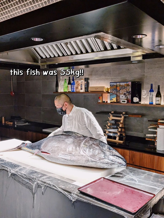 7 course omakase at $88‼️with tuna cutting show 🥩🔪