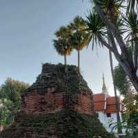 วัดพระแก้วดอนเต้าสุชาดาราม ลำปาง