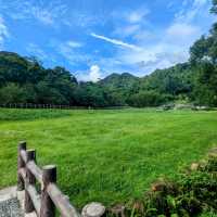 台北最佳親水步道：內湖大溝溪生態治水園區