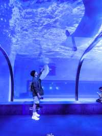 Zhengjia Polar Ocean Worldอควาเรียมสุดอลังกวางโจว