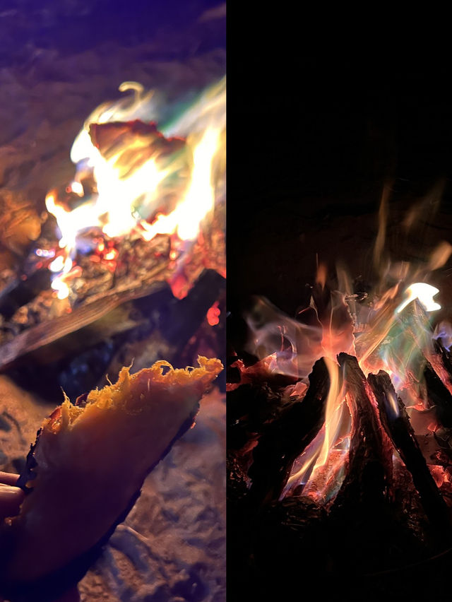 가을에 즐기는 캠핑 !⛺️