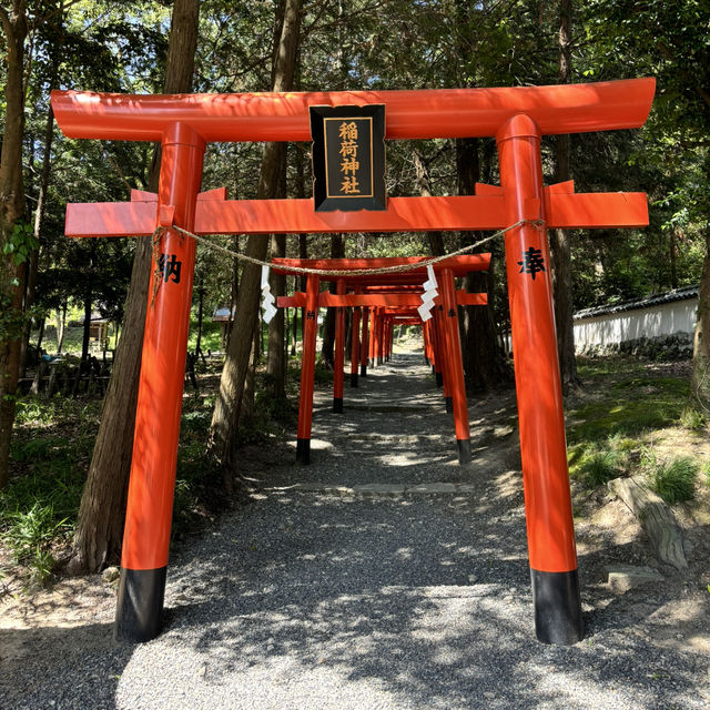 瀨戶內海單車旅行