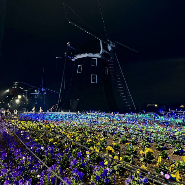 Magical illuminations & fireworks at Huis Ten Bosch