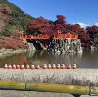 大阪近郊紅葉景點 - 勝尾寺🍁