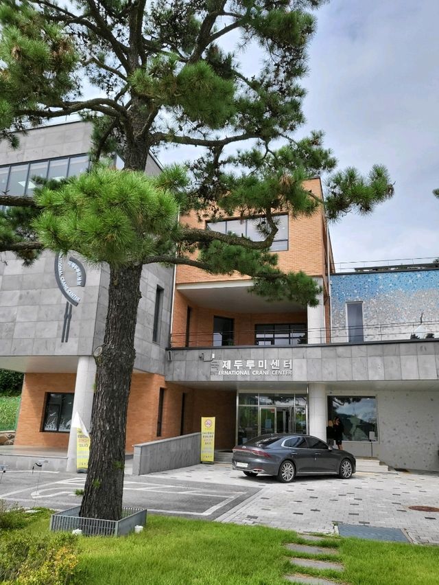 우리나라의 두루미를 지켜나가는 곳 철원