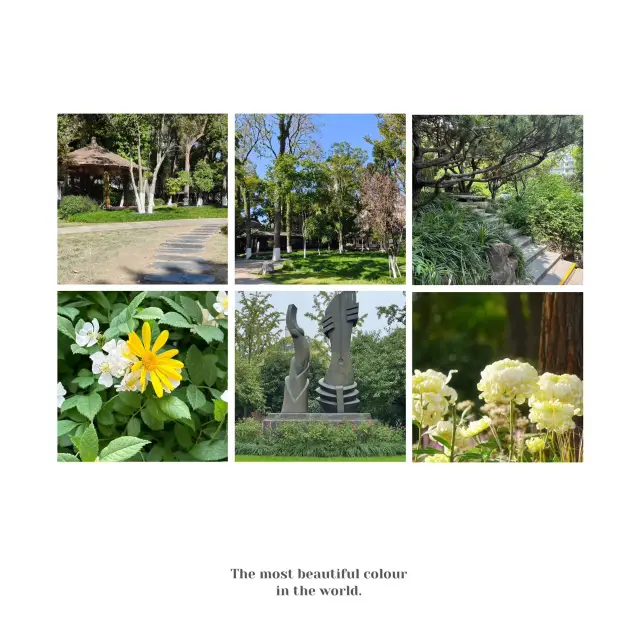 世界盃公園~鳥語花香的“自然音樂會”