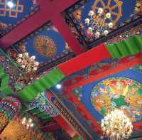  🇮🇳 印度-菩提迦耶 Bodhgaya 度母寺