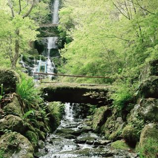 【四國】探訪仁淀藍，安居溪谷之旅