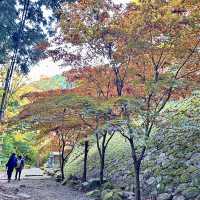 大観山展望台+箱根大山お寺