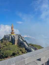 🇻🇳3대가 덕을 쌓아야 맑은 판시판의 정상을 볼 수 있어요!🇻🇳
