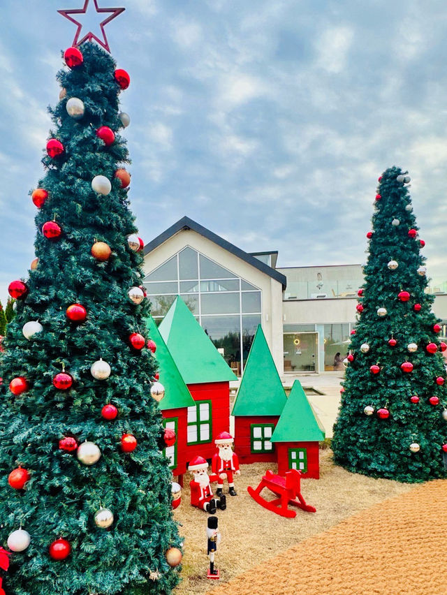 🥳🧸🤍전주 근교 대형카페 오늘 여기