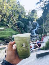 WTF Coffee Camp