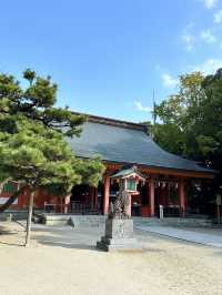 全国にある住吉神社の最初の神社  3つのパワースポットあり！