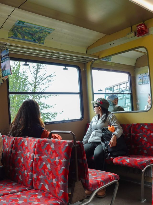 🇨🇭搭齒軌列車到山頂🏞️🏔️