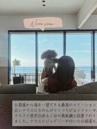 淡路島🌴ペットと行けるオーシャンビューヴィラリゾート🐕‍🦺