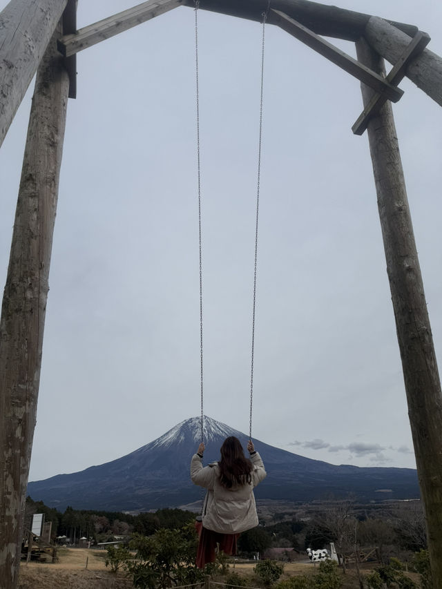 富士山超有名打卡點去一個地方就能拍到 - 馬飼野牧場 🐮
