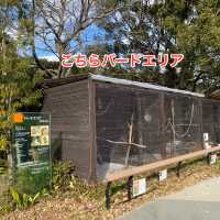 動物に癒されよう！のんほいパーク(豊橋総合動植物公園）